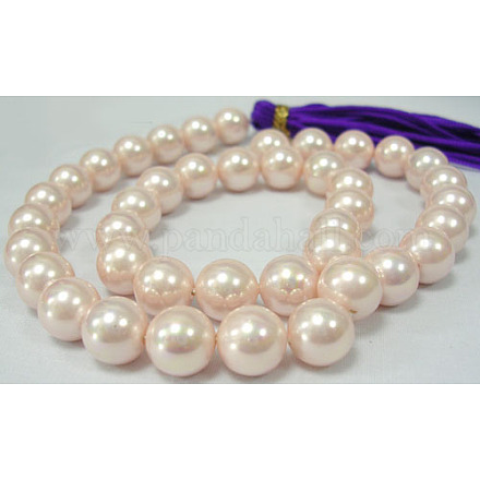 Shell Pearl Beads Strands SP14MM505-1