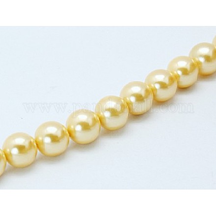 Shell Pearl Beads Strands SP8MM235-1