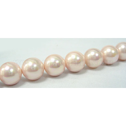 Shell Pearl Beads Strands SP8MM505-1