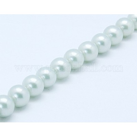 Shell Pearl Beads Strands SP8MM623-1