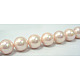 Polished Shell Pearl Round Beads Strands SP12MM505-2