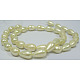Shell Pearl Beads Strands SP12X15MM701-2