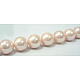 Shell Pearl Beads Strands SP14MM505-2