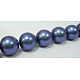 Shell Pearl Beads Strands SP14MM637-2
