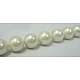 Shell Pearl Beads Strands SP14MM701-2