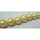 Shell Pearl Beads Strands SP14MM720-2