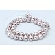 Shell Pearl Beads Strands SP8MM233-2