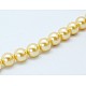Shell Pearl Beads Strands SP8MM235-1