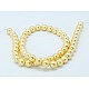 Shell Pearl Beads Strands SP8MM235-2