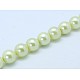 Shell Pearl Beads Strands SP8MM236-1
