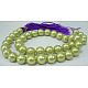 Shell Pearl Beads Strands SP8MM645-2