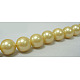 Shell Pearl Beads Strands SP8MM720-1