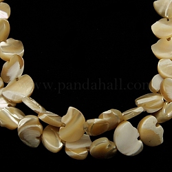 Naturali di mare shell perle fili, orso, tan, circa 8 mm di larghezza, 12 mm di lunghezza, 4 mm di spessore, Foro: 1 mm, 47 pcs/filo, 16 pollice