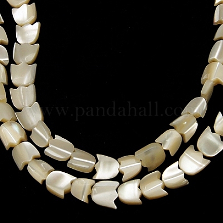 Natural Sea Shell Beads Strands SSHEL-7X7-1