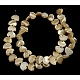 Chapelets de perles en coquillage naturel SSHEL-F0812-2