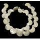 Shell normal de perles blanches de brins SSHEL-G16B-2
