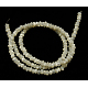 Shell normal de perles blanches de brins SSHEL-L034-1-2
