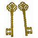 Schlüssel tibetischer Stil Anhänger Fassungen für Strasssteine TIBEB-A101291-AG-LF-1