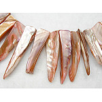 Chapelets de perles de coquillage naturel, teinte, erose, rose, environ 7~9 mm de large, Longueur 25~35mm, trou: environ 0.5 mm, 14 pouce