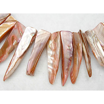 Chapelets de perles de coquillage naturel YPBB033-1
