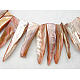 Natural Shell Beads Strands YPBB033-1