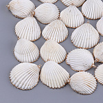 Pendentifs coquille de mer, avec les accessoires en laiton, or, couleur de coquillage, 34~46x28~38x10~13mm, Trou: 1.2mm