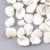 Perle di conchiglia a spirale&nbsp;SSHEL-S251-09