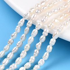 Hebras de perlas de agua dulce cultivadas naturales, cuentas barrocas de arroz con perlas keshi, color de concha, 3~5x3~3.5mm, agujero: 0.7~0.8 mm, aproximamente 38~39 pcs / cadena, 7.09 pulgada (18 cm)