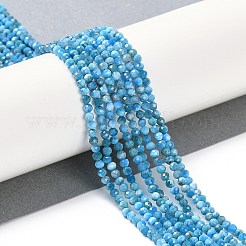 Природного апатита нитей бисера G-P542-A06-02