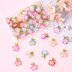 50шт 5 цвета прозрачные акриловые подвески&nbsp;TACR-SC0001-50