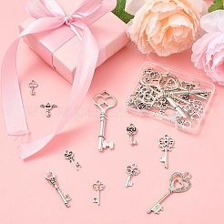 30шт 10 стиля подвески из сплава в тибетском стиле&nbsp;TIBEP-YW0002-07