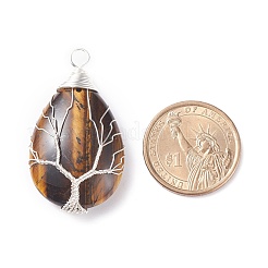 Природных тигровый глаз подвески&nbsp;PALLOY-JF01307-05