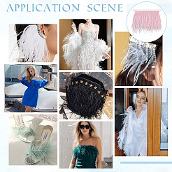 2м модная отделка из перьев страуса DIY-OC0013-52C