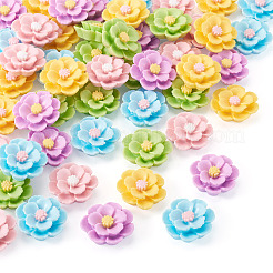 50 Stück 5 Farben 3D undurchsichtige Harz-Cabochons&nbsp;RESI-TA0005-02