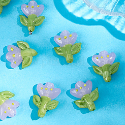 12шт ручной работы бусины лэмпворк LAMP-PA0001-03B