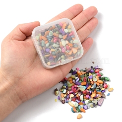 50 г окрашенных бусин из натуральных пресноводных ракушек BSHE-YW0001-04