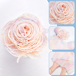 5 м ленты из полиэстеровой органзы градиентного цвета SRIB-PH0001-55