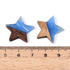 Colgantes de resina y madera de nogal&nbsp;RESI-T057-37C