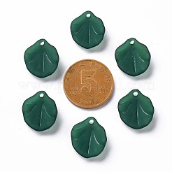 Прозрачные матовые акриловые подвески&nbsp;MACR-S371-02A-735