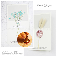 Scrapbook diy&nbsp;AJEW-WH0100-121