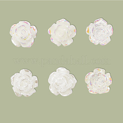 12 пара сережек-гвоздиков из смолы 6 стилей EJEW-SP0001-14