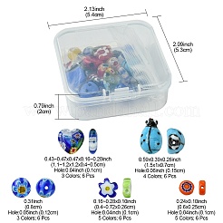 30шт 6 стиля ручной работы бусины лэмпворк LAMP-FS0001-12