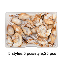 25 шт.&nbsp;OACR-FP0001-36