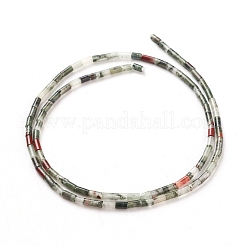 Perline Bloodstone naturale fili&nbsp;G-G783-15