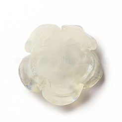 Cabochons della resina luminosi&nbsp;CRES-D005-C05