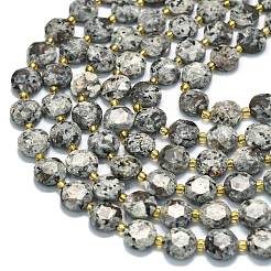 Натуральный флуоресцентный сиенитовый камень (светящийся в ультрафиолетовом свете) бусины нити G-C116-A127-01