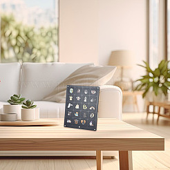 Акрил с фетровым лотком для памятных монет AJEW-WH0471-110C