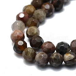 Chapelets de perles en bois pétrifié naturel&nbsp;G-E576-31