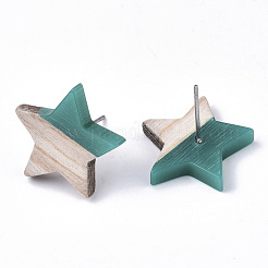 Clous d'oreilles en résine et bois&nbsp;EJEW-N017-001A-C02