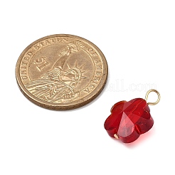 Прозрачные стеклянные подвески PALLOY-JF04099-02